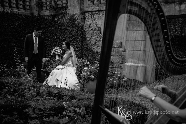 dallas chinese wedding photographer